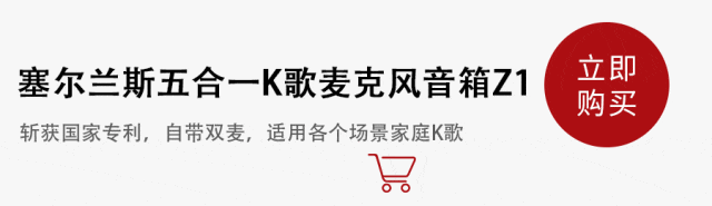 +电源+收音机+支架5合1只要100多！牛！中国制造强到如此可怕了！音箱+K歌(图6)